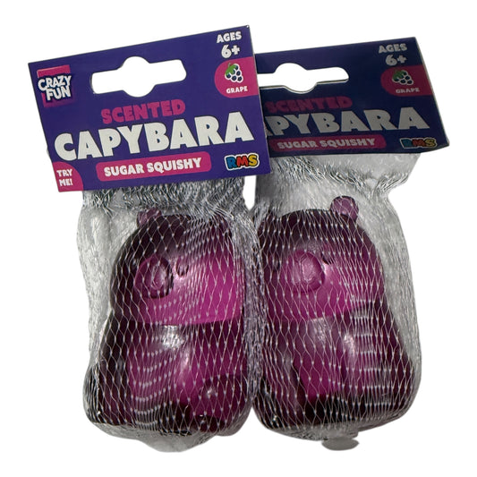 Crazy Fun RMS Scented Capybara Sugar Squishy